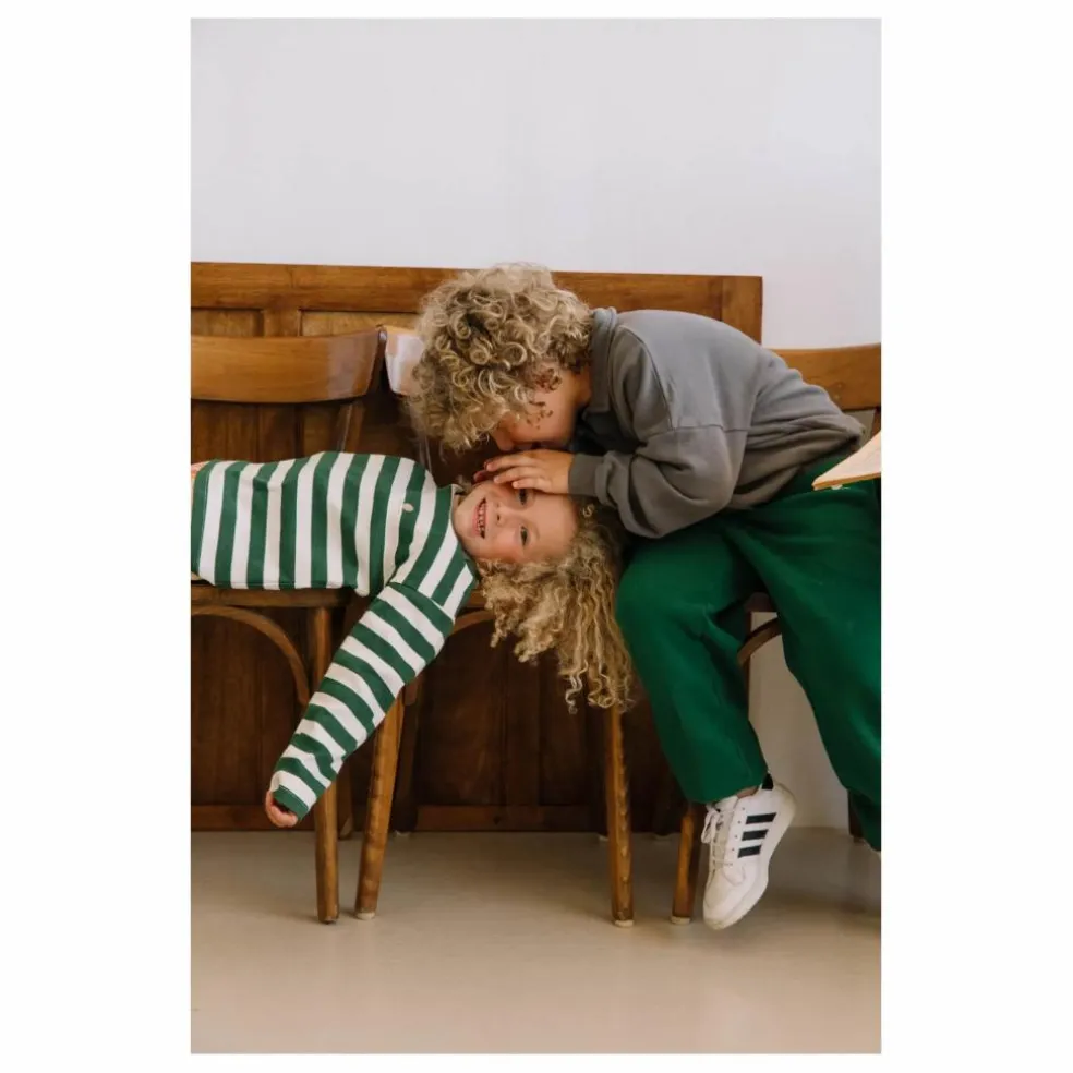 Polo Volcano Coton Bio | Gris