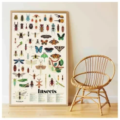 Poster sticker Les Insectes