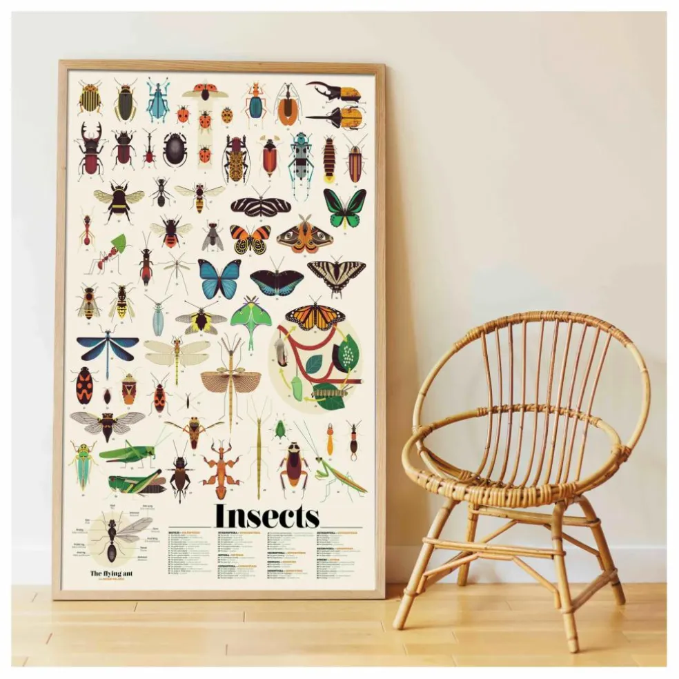 Poster sticker Les Insectes