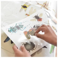 Poster sticker Les Insectes
