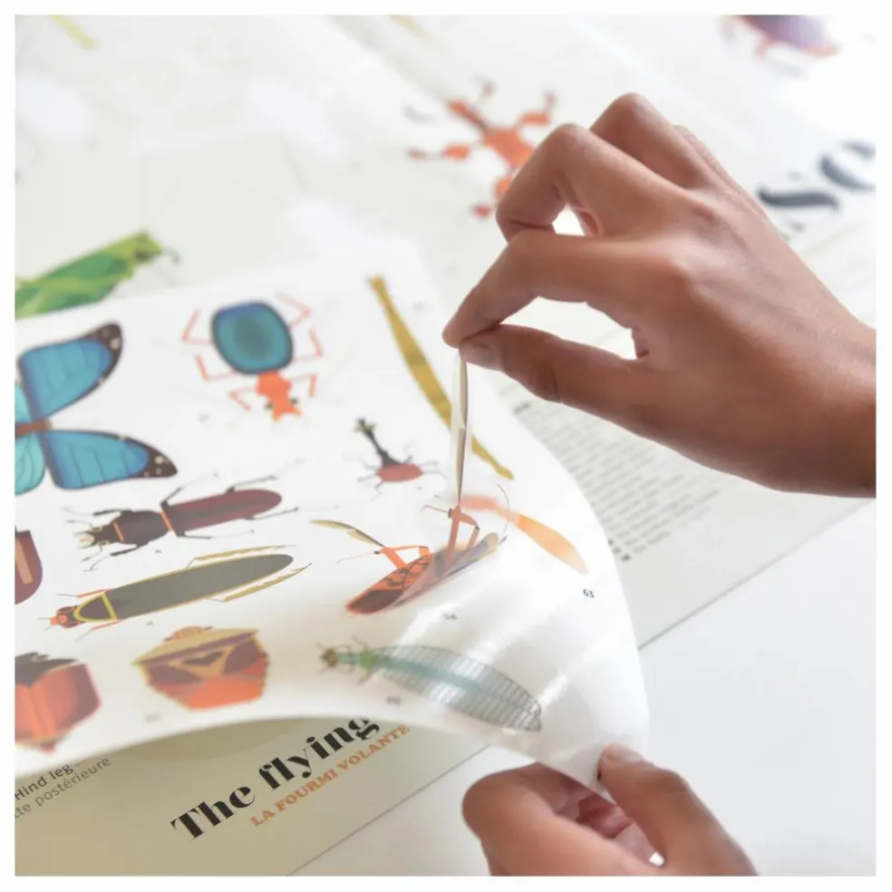 Poster sticker Les Insectes