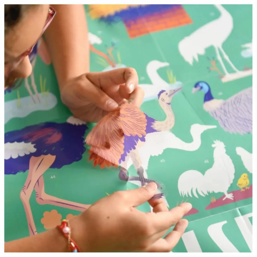 Poster stickers Oiseaux