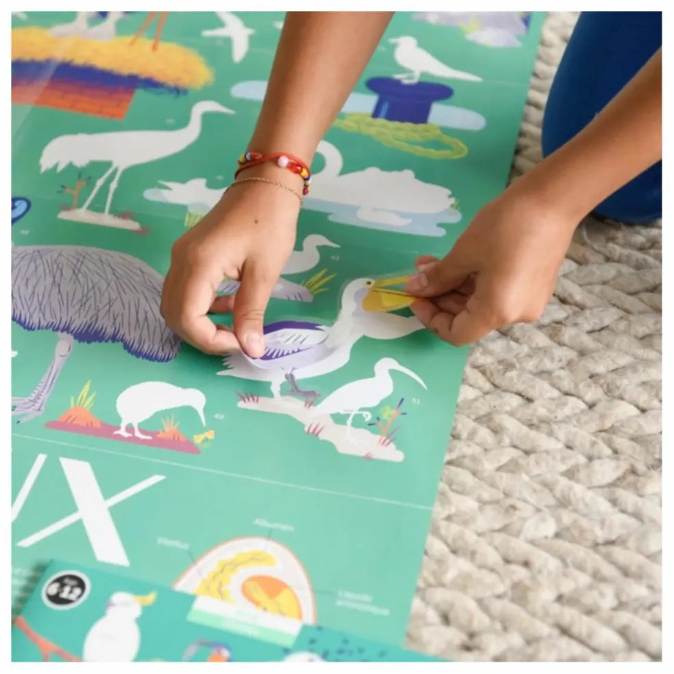 Poster stickers Oiseaux