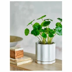 Pot de fleurs Argyle en grès | Gris