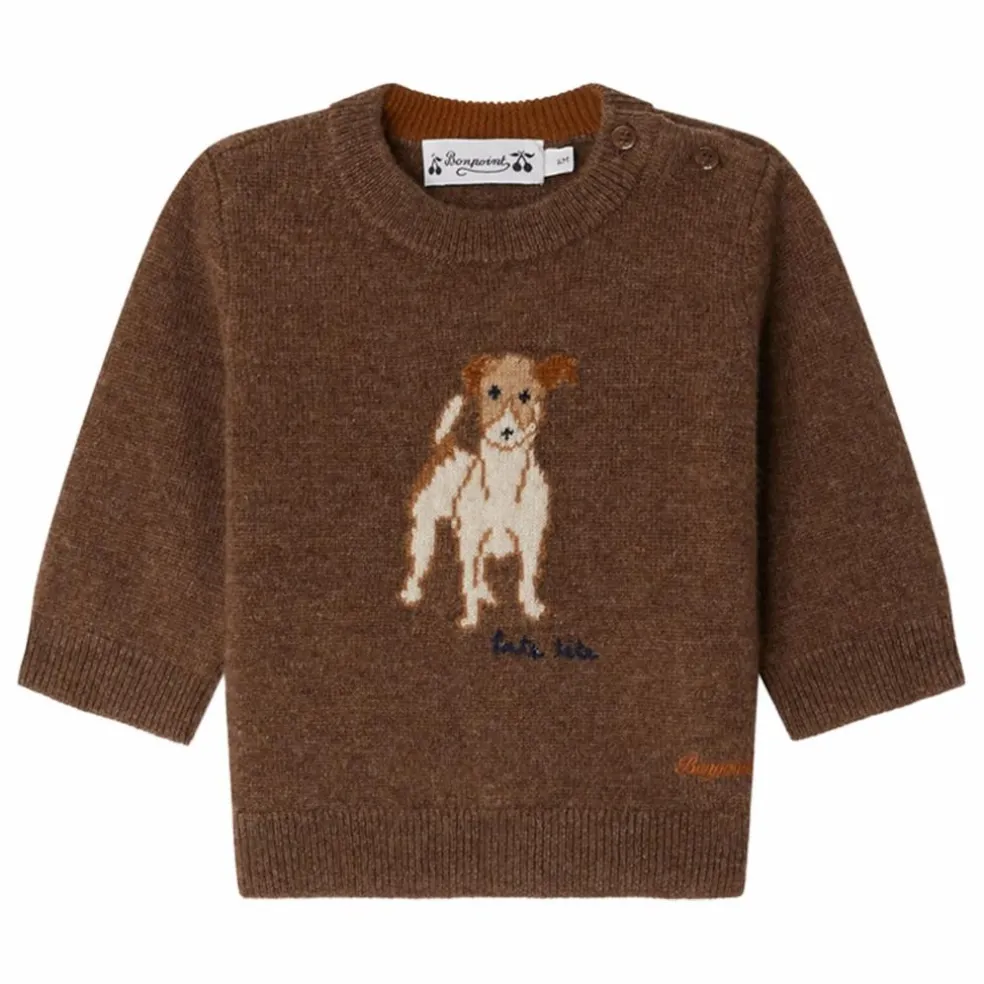 Pull Almire Cachemire | Brun
