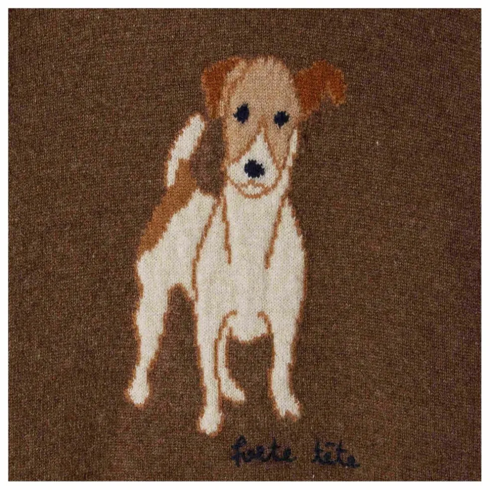 Pull Berlioz Cachemire | Marron