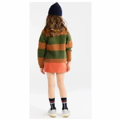 Pull Boxfish Rayé Laine | Marron