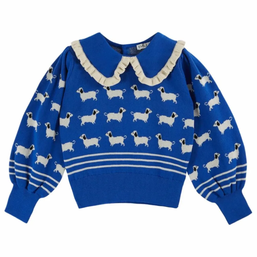 Pull Chiens | Bleu roi