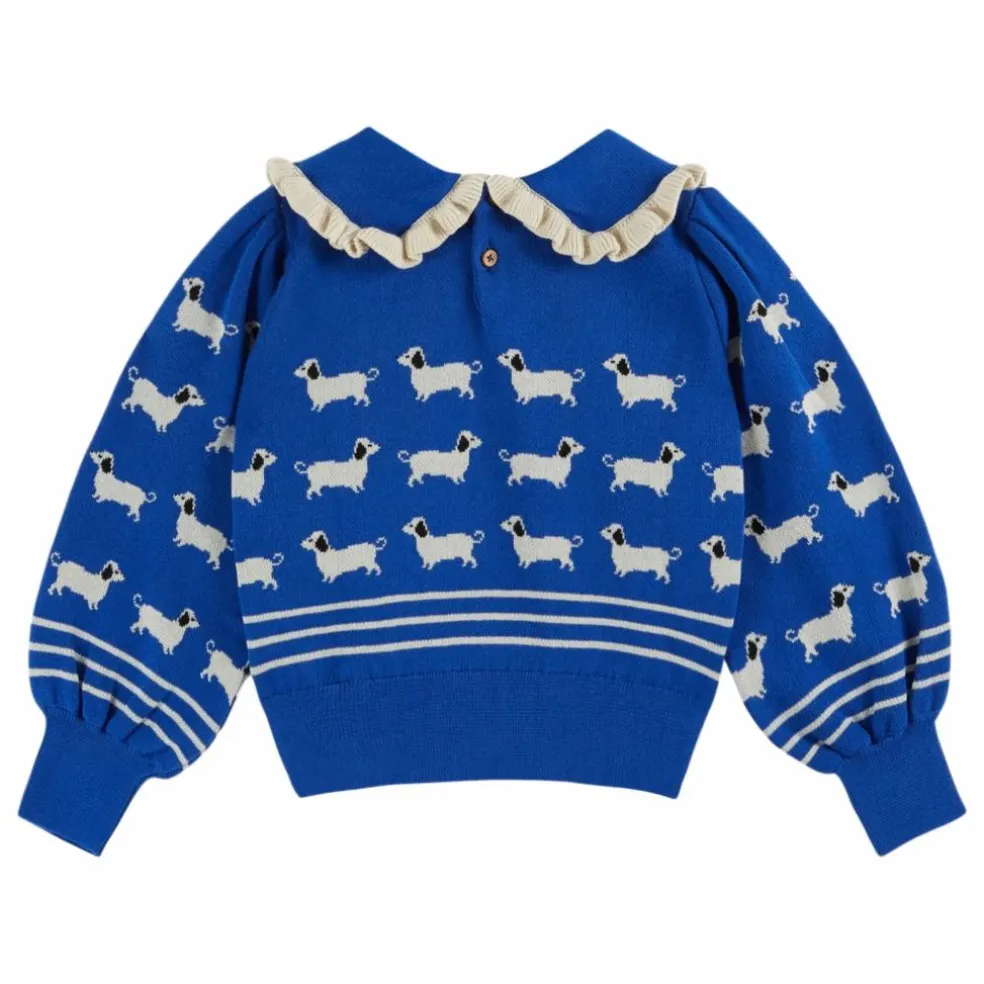 Pull Chiens | Bleu roi