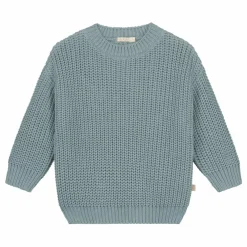 Pull Chunky Coton Bio | Bleu