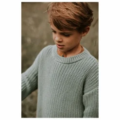 Pull Chunky Coton Bio | Bleu