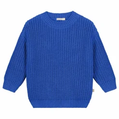 Pull Chunky Coton Bio | Bleu