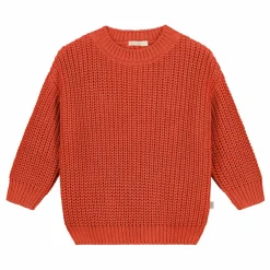 Pull Chunky Coton Bio | Orange sanguine