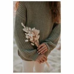 Pull Chunky Coton Bio | Sauge