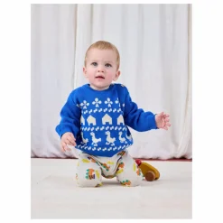Pull Ferme Maille Coton Bio | Bleu