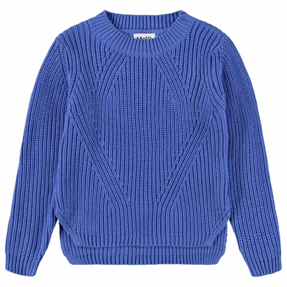 Pull Gillis Coton Bio | Bleu