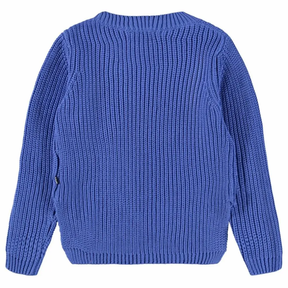 Pull Gillis Coton Bio | Bleu