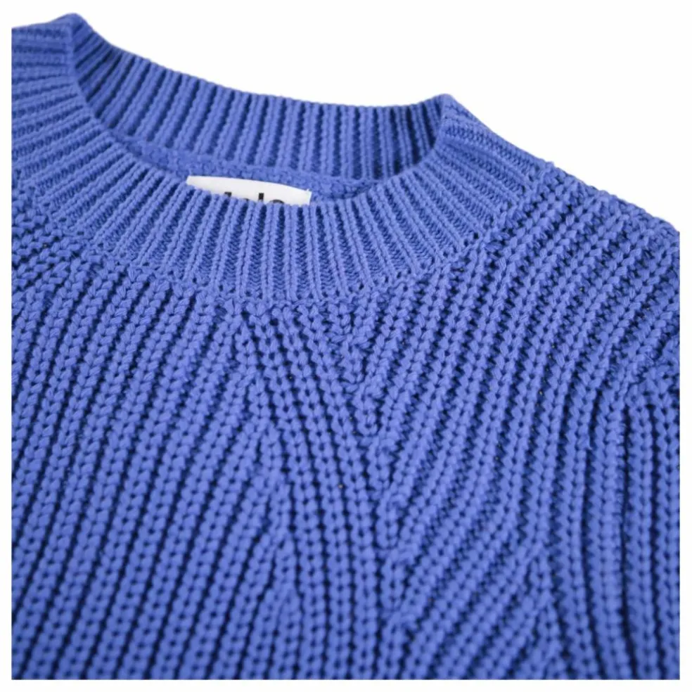 Pull Gillis Coton Bio | Bleu