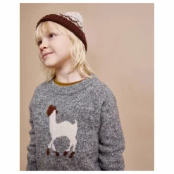 Pull Lama Fibres Recyclées | Gris