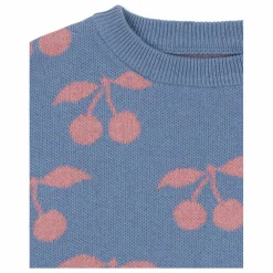 Pull Lapis Cerises Coton Bio | Violet