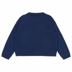Pull Polo Laine | Bleu marine