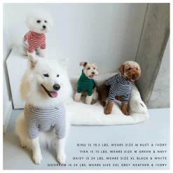 Pull rayé | Rouge