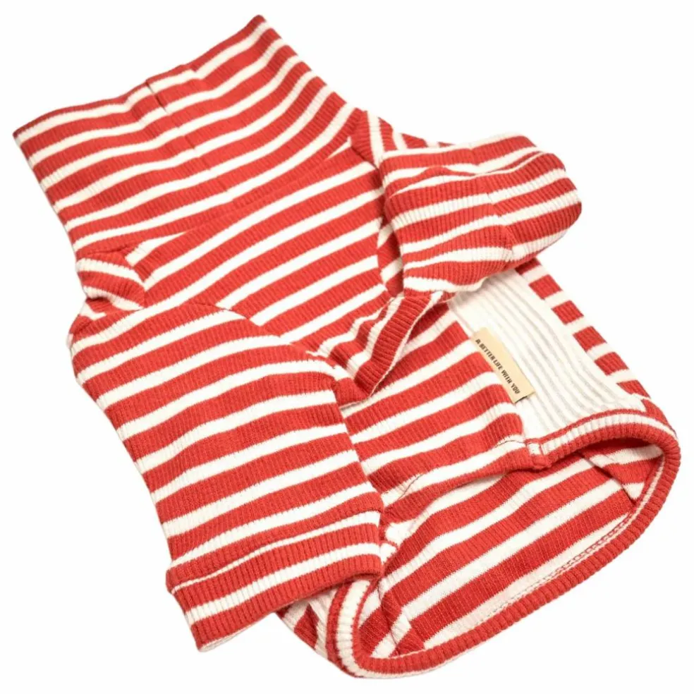 Pull rayé | Rouge
