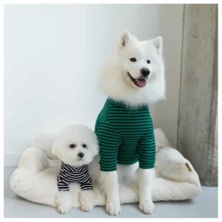Pull rayé | Vert