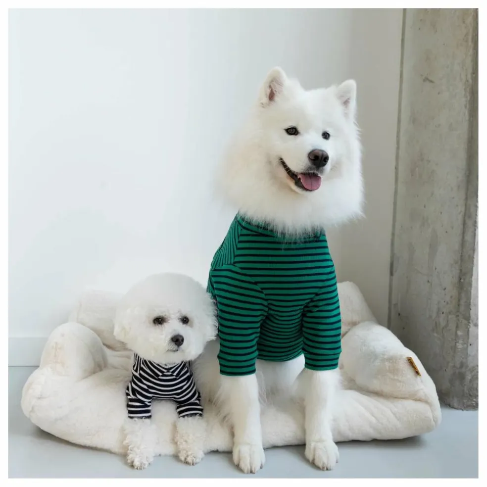 Pull rayé | Vert