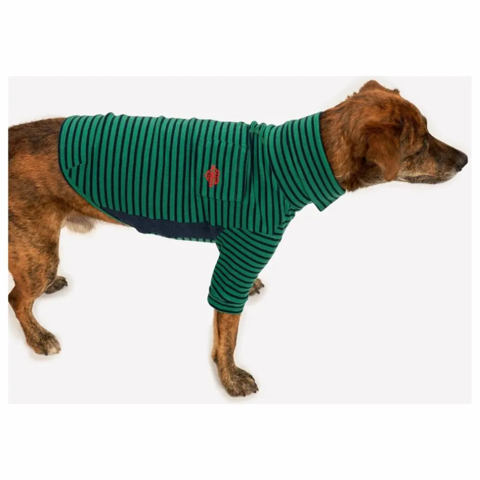 Pull rayé | Vert