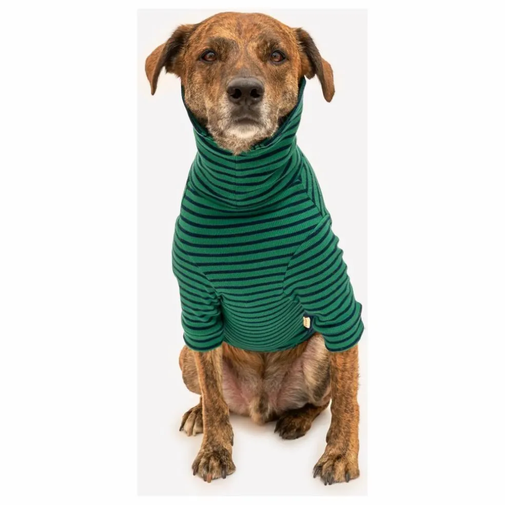 Pull rayé | Vert