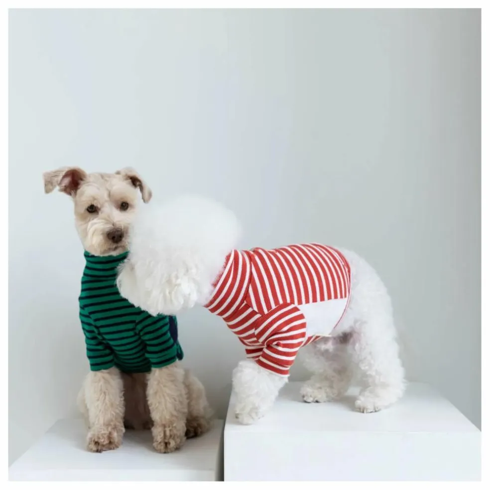 Pull rayé | Vert