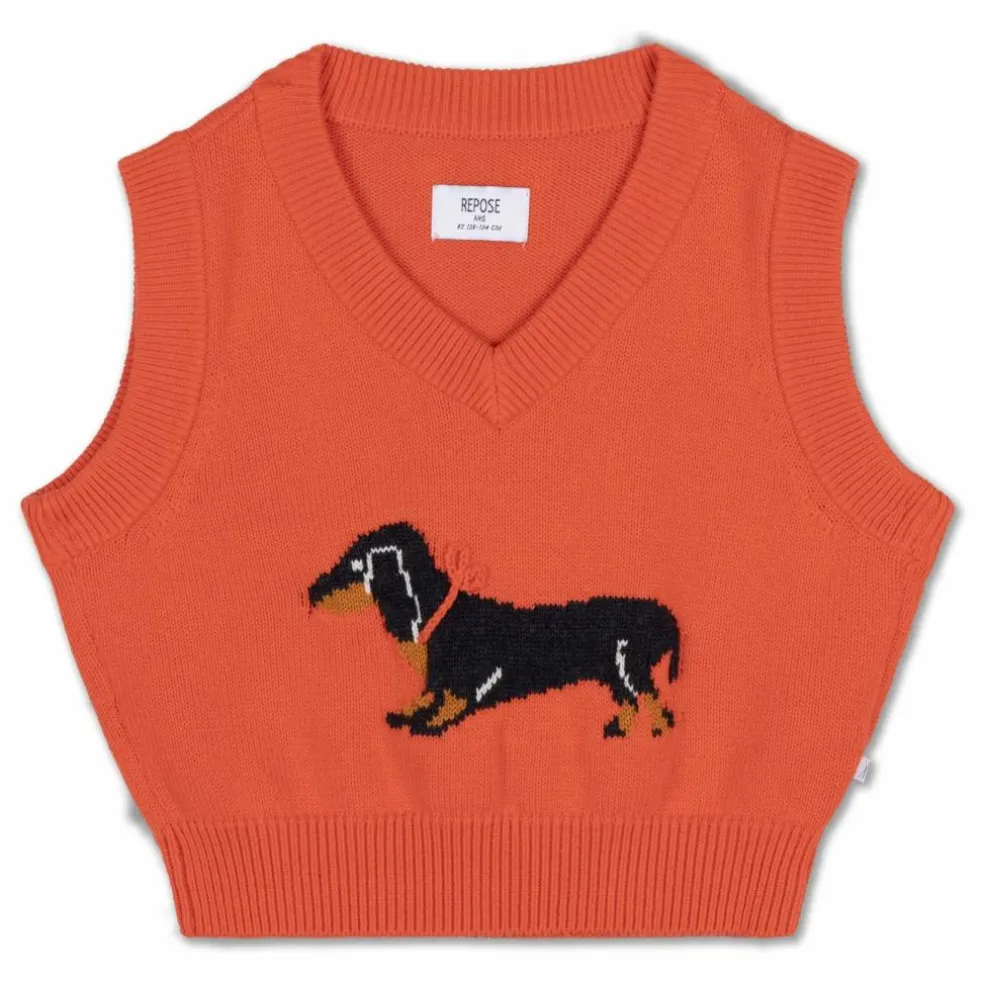 Pull Sans Manches Chien | Orange