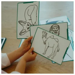 Recharge pour Kidydraw Mini - Pirates, princesses et animaux sauvages