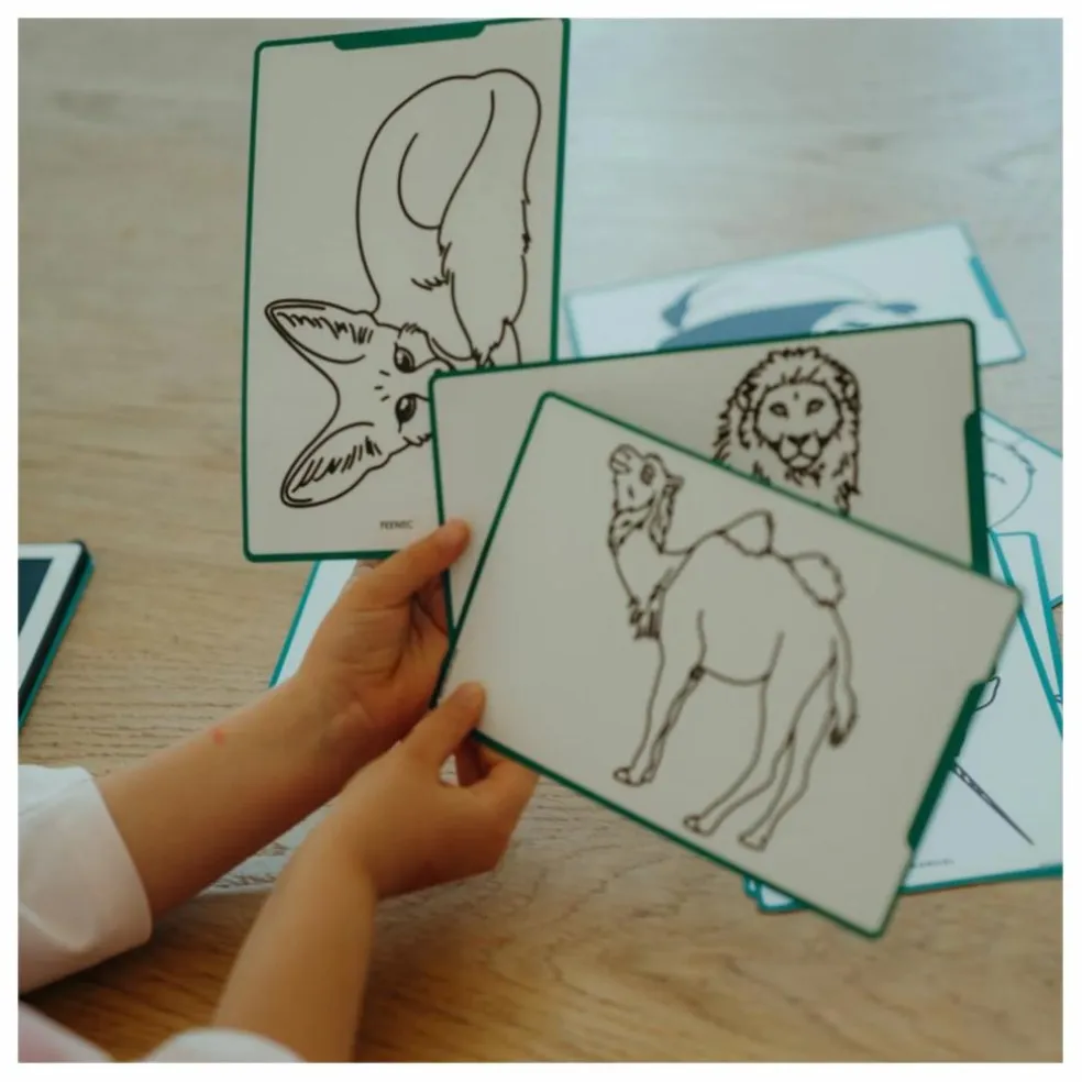 Recharge pour Kidydraw Mini - Pirates, princesses et animaux sauvages