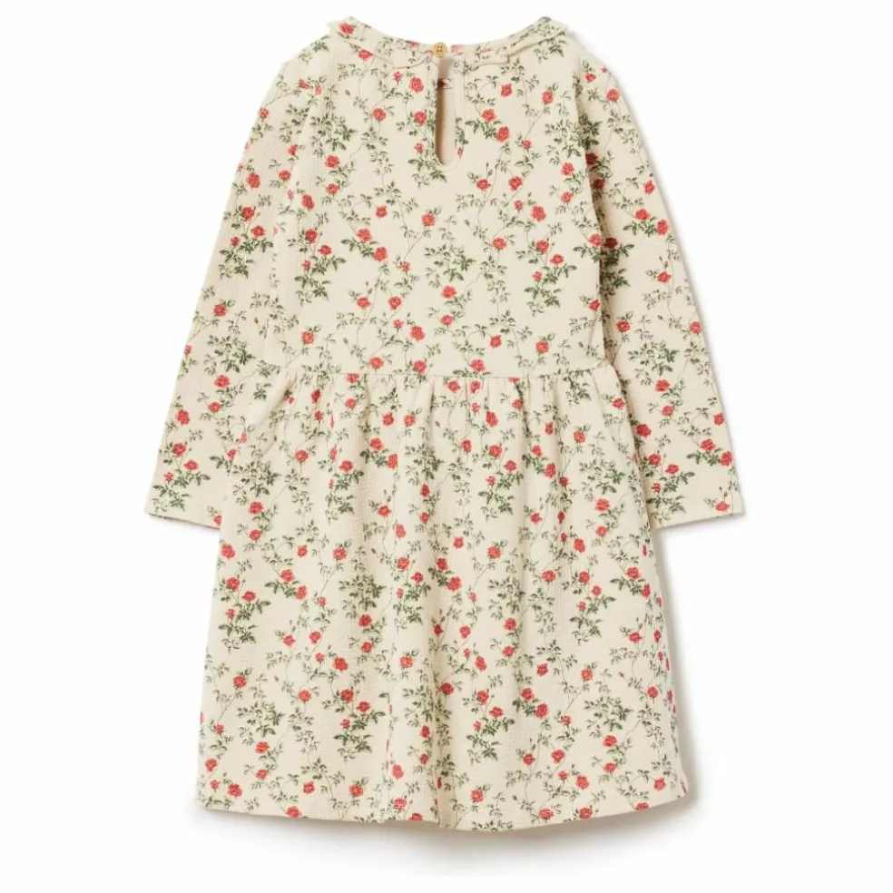 Robe Petit Rose | Ecru