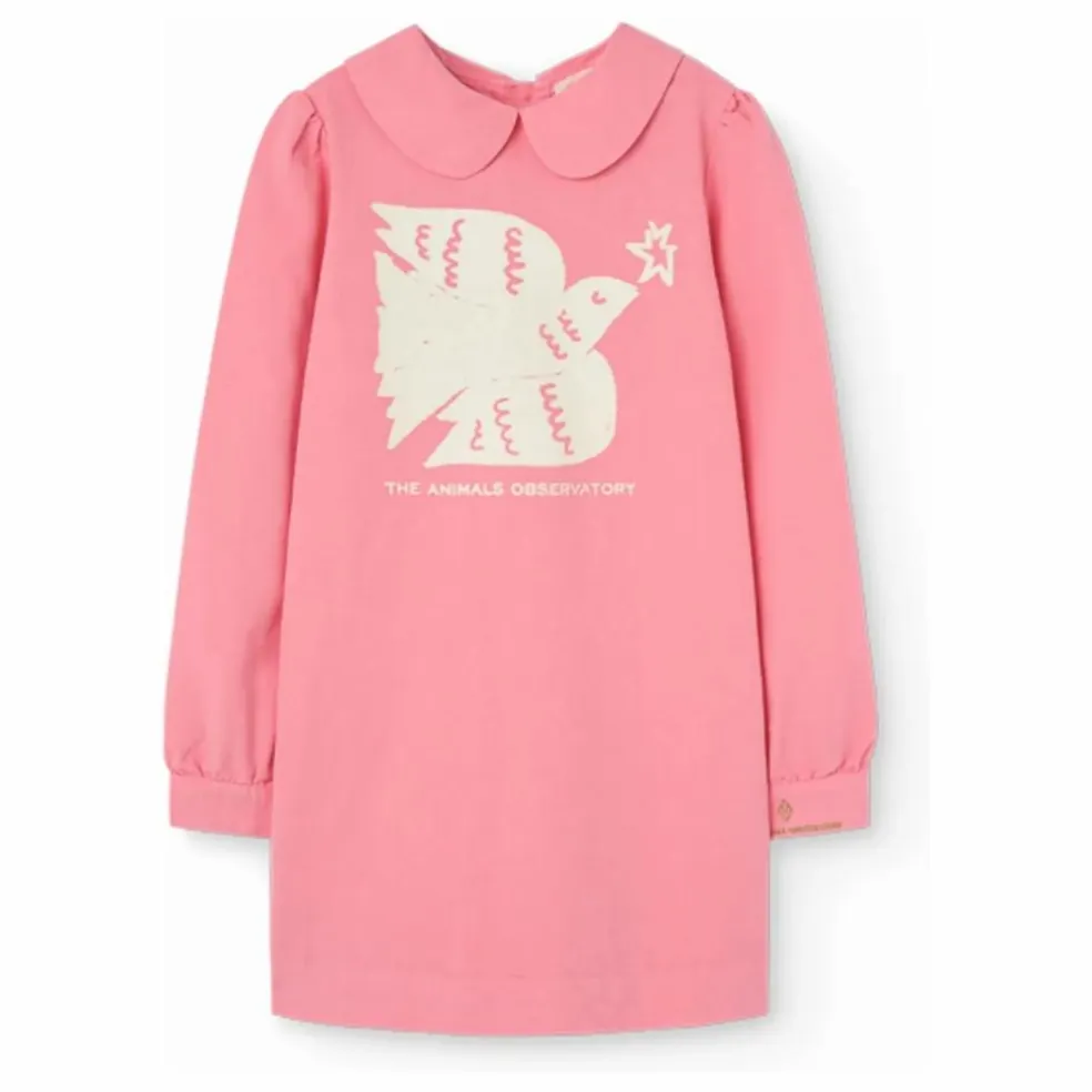 Robe Tortoise | Rose
