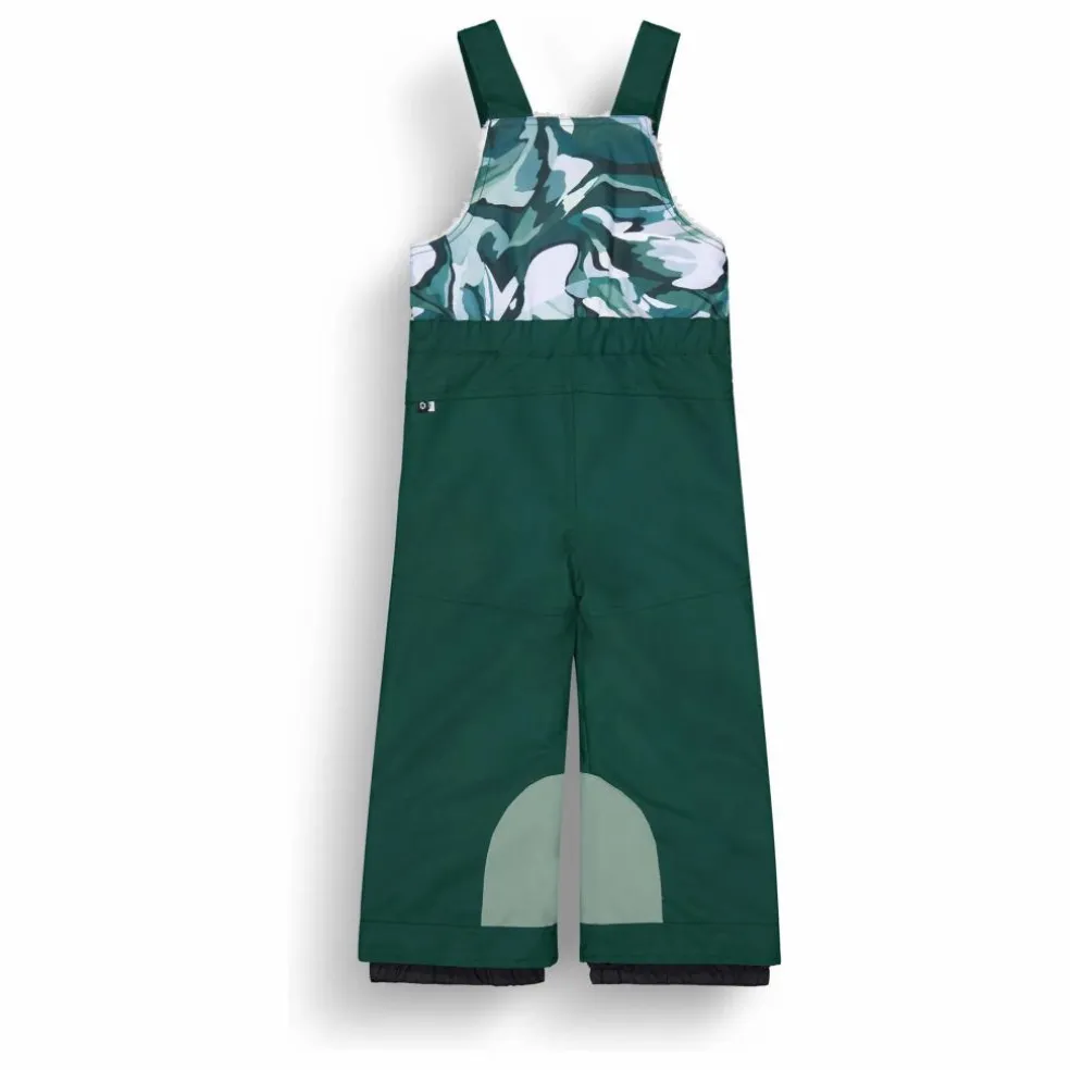 Salopette de ski Snowy | Vert