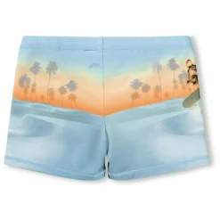 Short de Bain Norton Placed Skate Fibres Recyclées | Bleu pâle