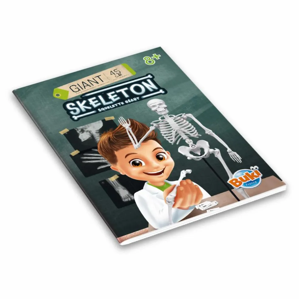 Squelette 45 cm