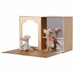 Studio de danse avec petite sœur et petit frère souris