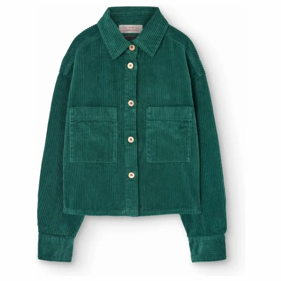 Surchemise Beabull | Vert sapin
