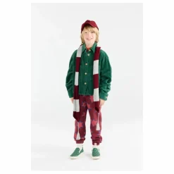 Surchemise Beabull | Vert sapin