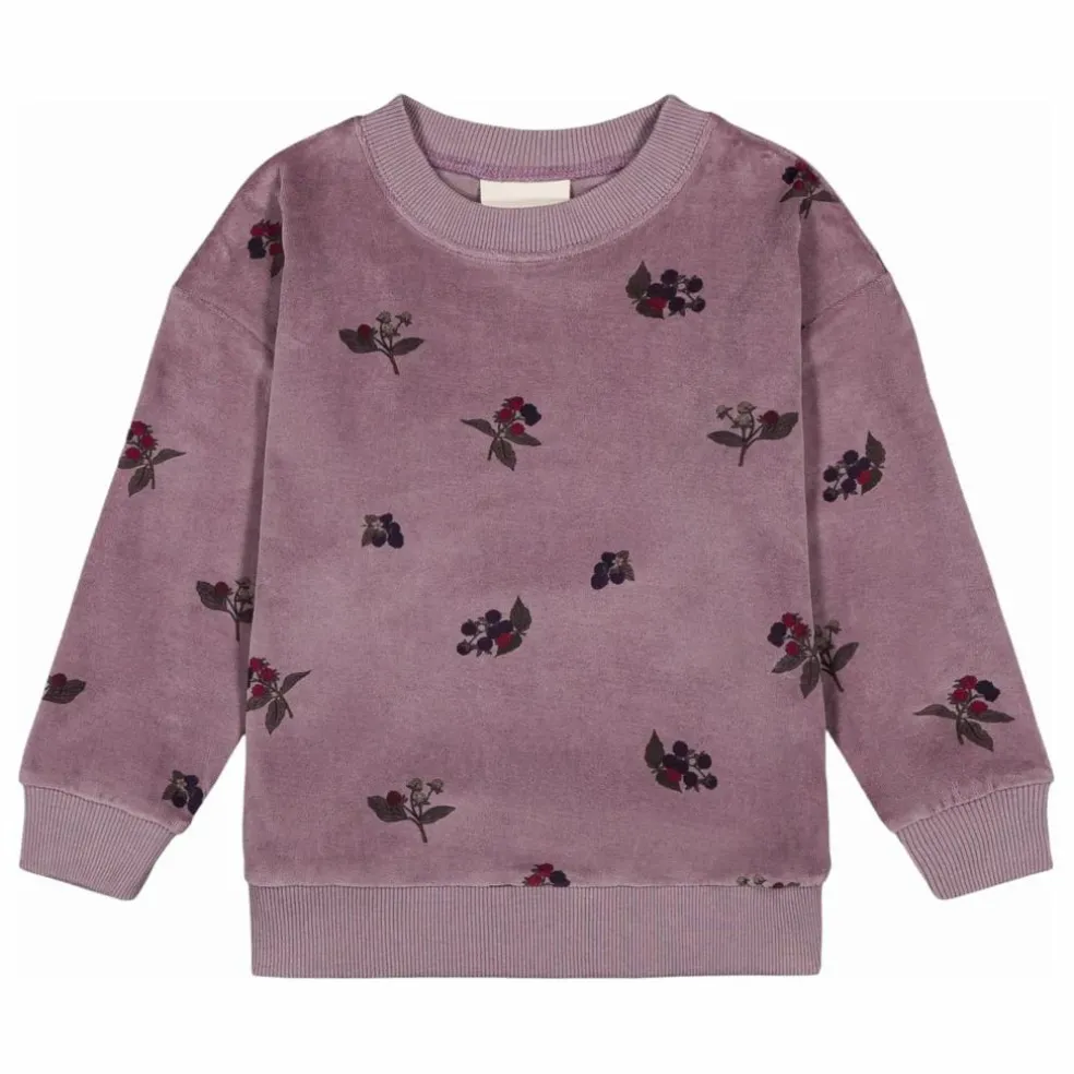Sweat Bart Mûres Velours Coton Bio | Mauve