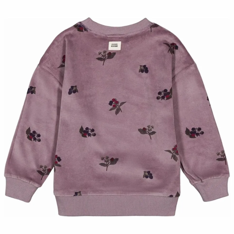 Sweat Bart Mûres Velours Coton Bio | Mauve