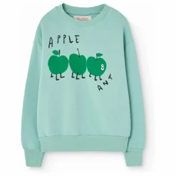Sweat Bear | Turquoise