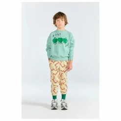 Sweat Bear | Turquoise
