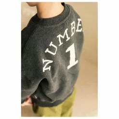 Sweat Bird NR 1 Coton Bio | Gris foncé