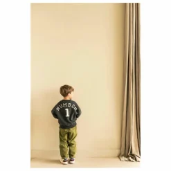 Sweat Bird NR 1 Coton Bio | Gris foncé