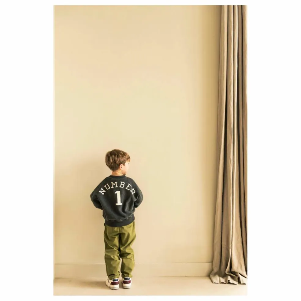 Sweat Bird NR 1 Coton Bio | Gris foncé